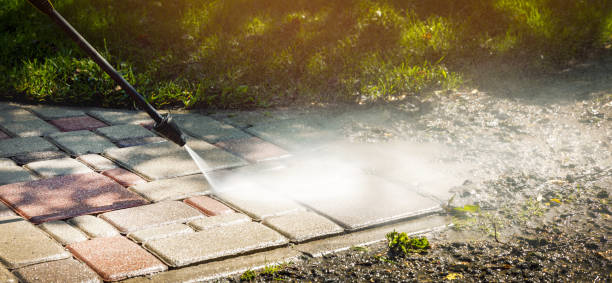 Solar Panel Cleaning in Iola, KS
